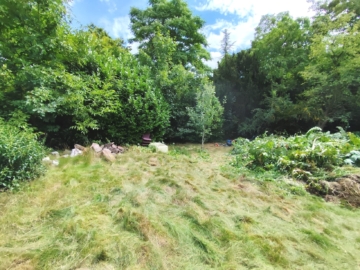 Aussenansichten - Natur und Stadt vereint - Baugrundstück in gefragter Stadtparknähe***0541 W Gütersloh